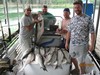 (06/02/2018) - Nice Striped Bass